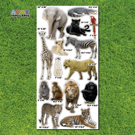 ACME Yard Cards Full Sheet - Theme – Realistic Animals