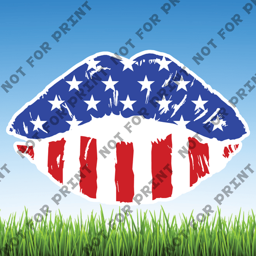 ACME Yard Cards Large American Flag Lips #001