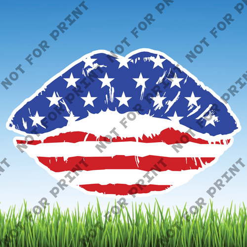ACME Yard Cards Large American Flag Lips #002