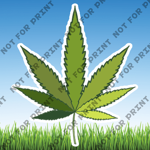 ACME Yard Cards Large Cannabis #014