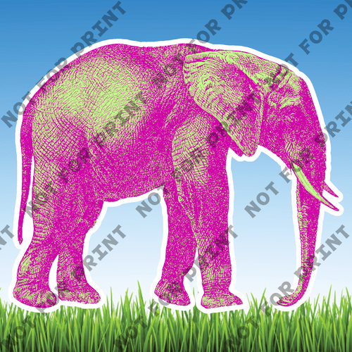 ACME Yard Cards Large Funky Color Safari Animals #023