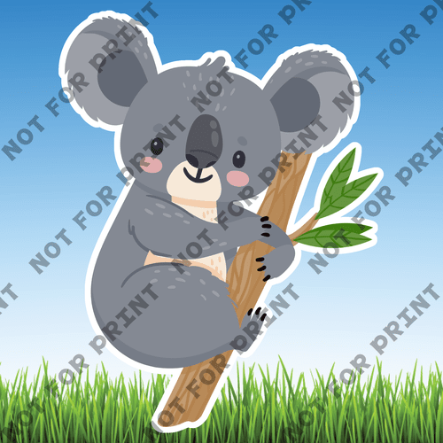 ACME Yard Cards Large Koalas #002