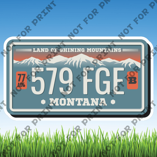ACME Yard Cards Large License Plate #042
