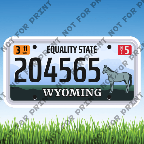 ACME Yard Cards Large License Plate #068