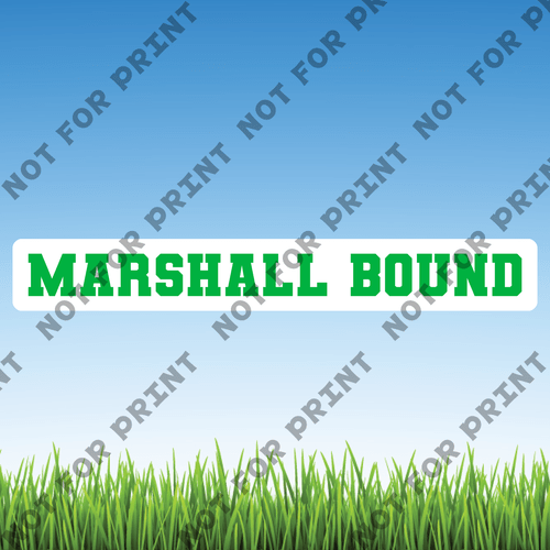 ACME Yard Cards Large Marshall Bound Word Flair #001