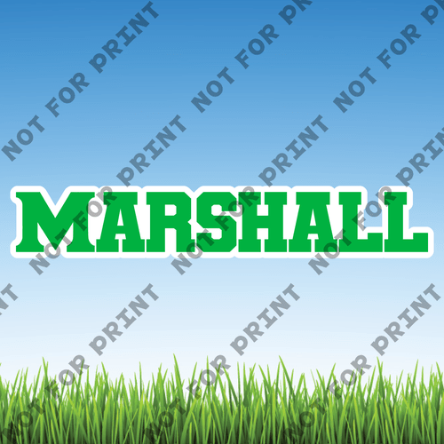 ACME Yard Cards Large Marshall Bound Word Flair #003