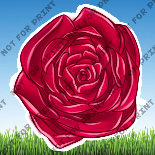 ACME Yard Cards Large Pink & Red Roses #004
