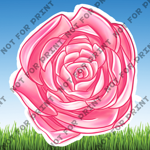 ACME Yard Cards Large Pink & Red Roses #005
