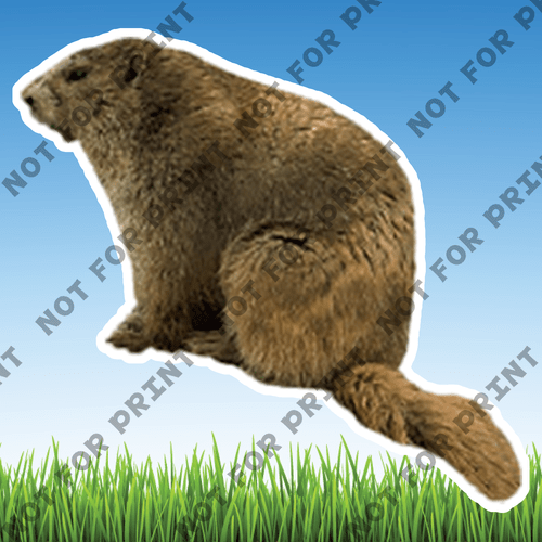 ACME Yard Cards Large Realistic Woodland Animals #001