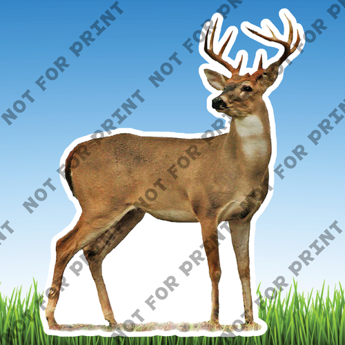 ACME Yard Cards Large Realistic Woodland Animals #003