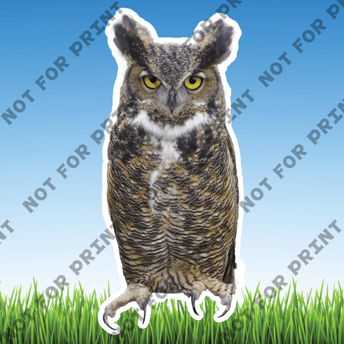 ACME Yard Cards Large Realistic Woodland Animals #009