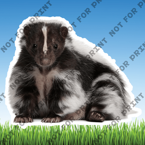 ACME Yard Cards Large Realistic Woodland Animals #025