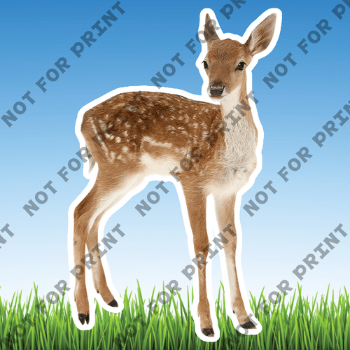ACME Yard Cards Large Realistic Woodland Animals #035