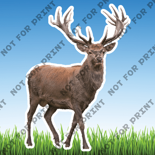 ACME Yard Cards Large Realistic Woodland Animals #052