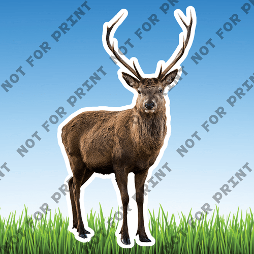 ACME Yard Cards Large Realistic Woodland Animals #053