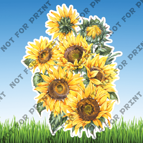 ACME Yard Cards Large Sunflower Watercolor Collection I #000