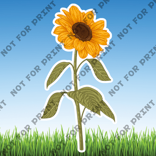 ACME Yard Cards Large Sunflowers #005