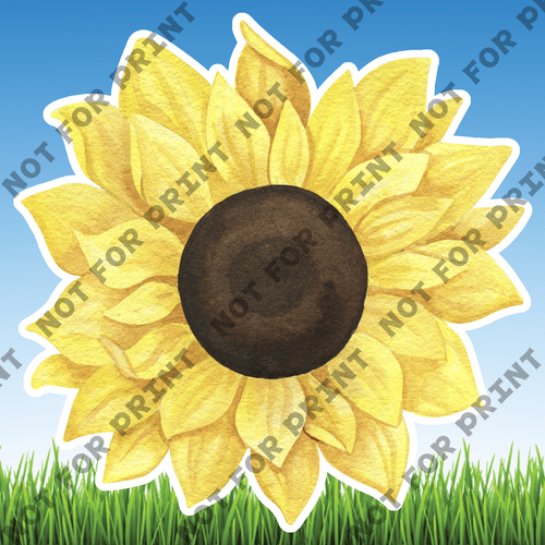 ACME Yard Cards Large Sunflowers #011