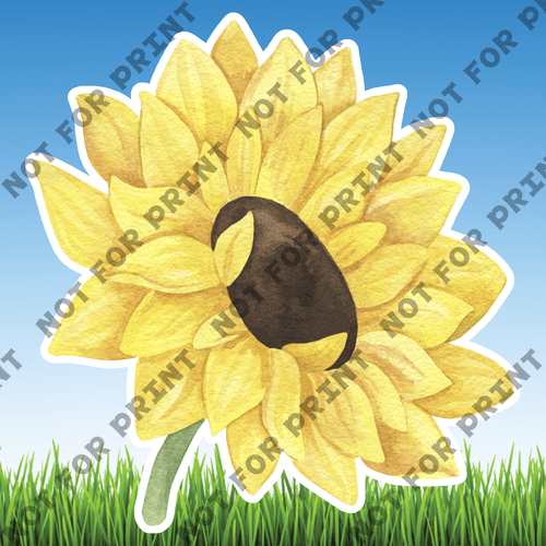 ACME Yard Cards Large Sunflowers #013