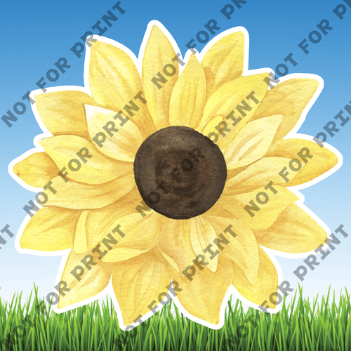 ACME Yard Cards Large Sunflowers #015