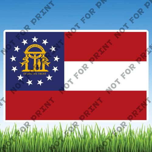 ACME Yard Cards Large USA State Flags #009
