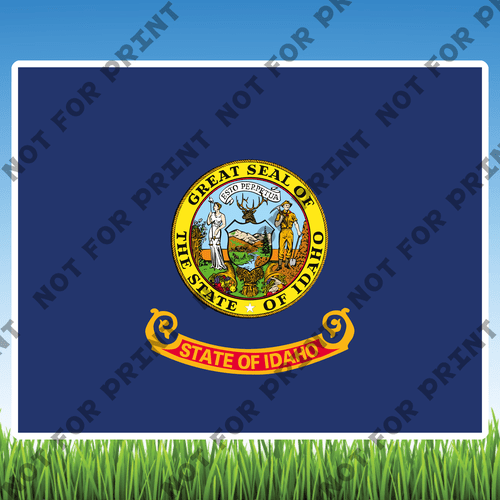 ACME Yard Cards Large USA State Flags #011