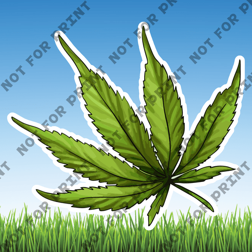 ACME Yard Cards Medium Cannabis #009