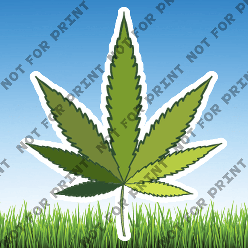ACME Yard Cards Medium Cannabis #014