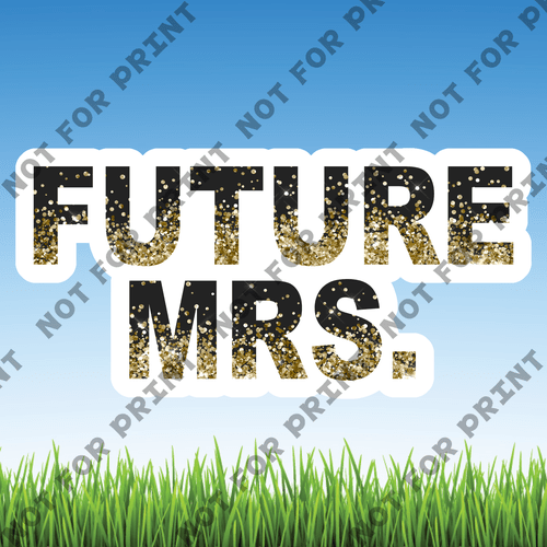 ACME Yard Cards Medium Future Mrs. #003