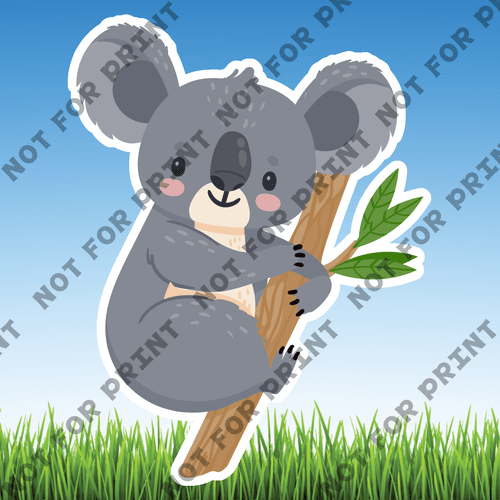 ACME Yard Cards Medium Koalas #002