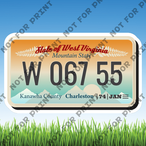 ACME Yard Cards Medium License Plate #066