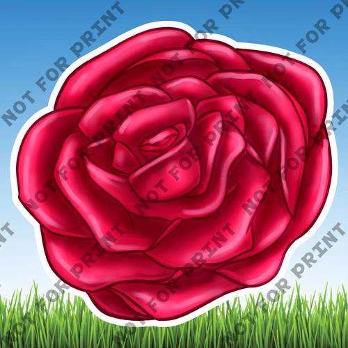 ACME Yard Cards Medium Pink & Red Roses #002