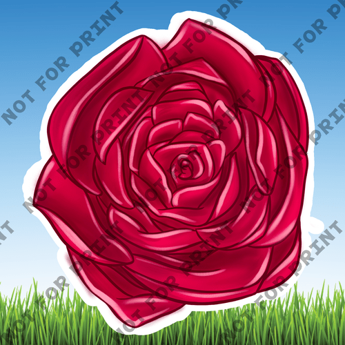 ACME Yard Cards Medium Pink & Red Roses #004