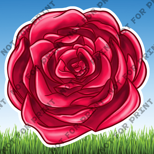 ACME Yard Cards Medium Pink & Red Roses #020