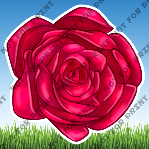 ACME Yard Cards Medium Pink & Red Roses #022