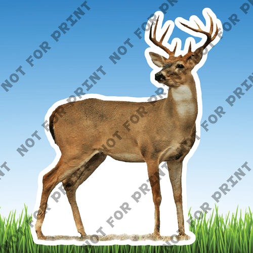 ACME Yard Cards Medium Realistic Woodland Animals #003