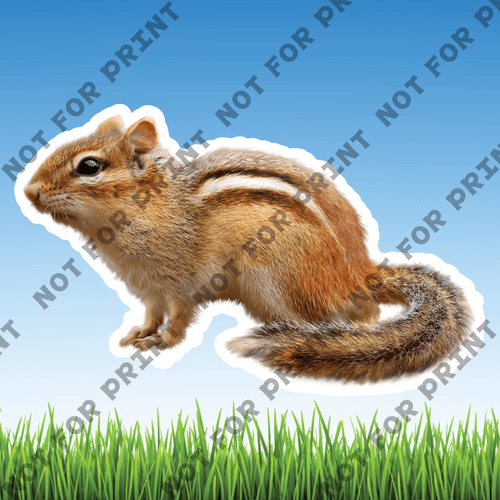 ACME Yard Cards Medium Realistic Woodland Animals #024