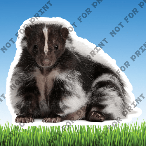 ACME Yard Cards Medium Realistic Woodland Animals #025