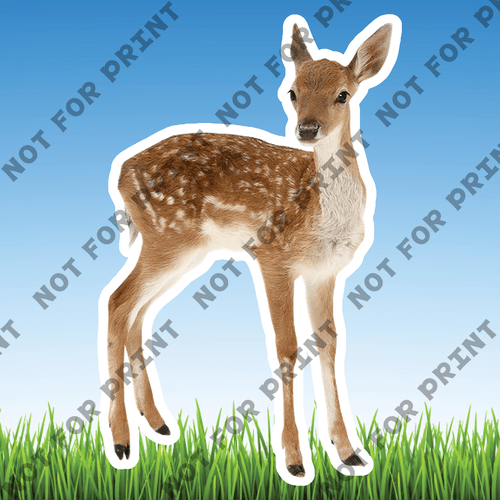 ACME Yard Cards Medium Realistic Woodland Animals #035