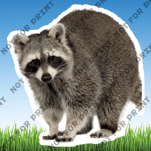 ACME Yard Cards Medium Realistic Woodland Animals #047