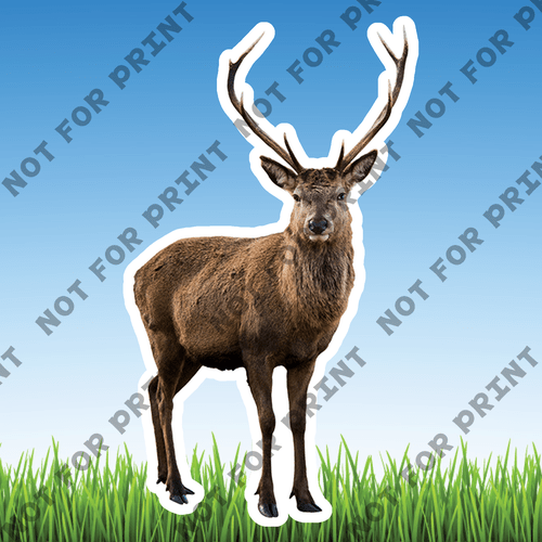 ACME Yard Cards Medium Realistic Woodland Animals #053