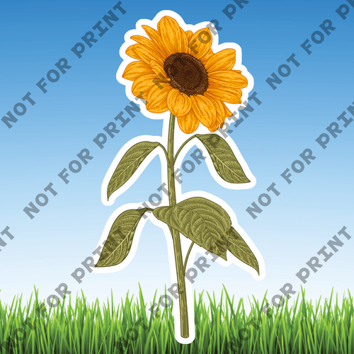 ACME Yard Cards Medium Sunflowers #005