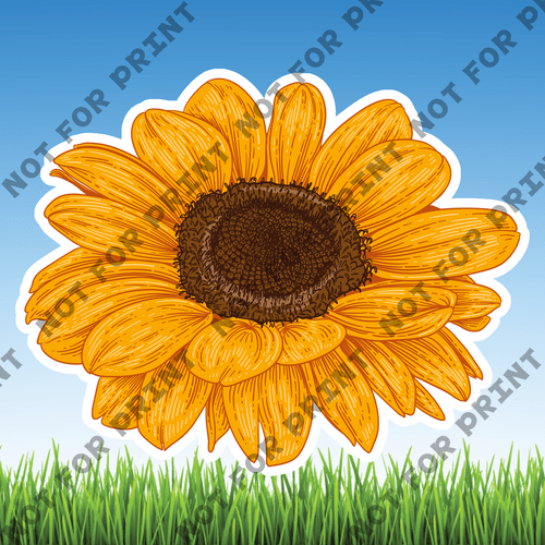 ACME Yard Cards Medium Sunflowers #007