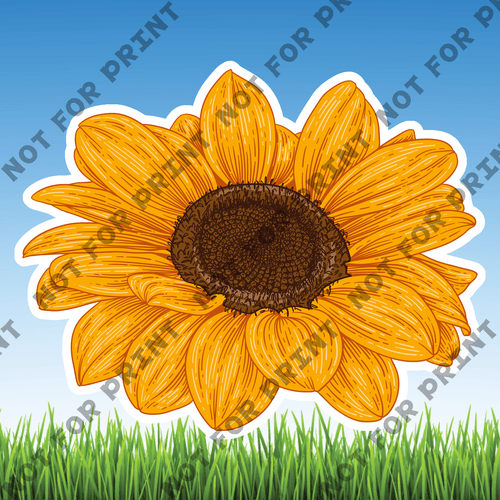 ACME Yard Cards Medium Sunflowers #008