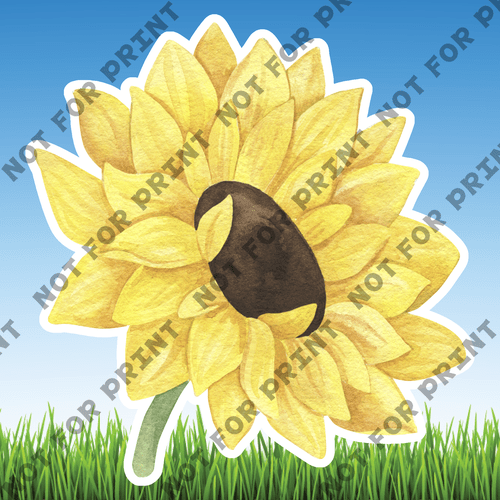 ACME Yard Cards Medium Sunflowers #013