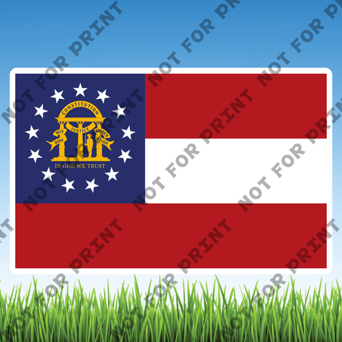 ACME Yard Cards Medium USA State Flags #009