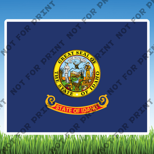 ACME Yard Cards Medium USA State Flags #011