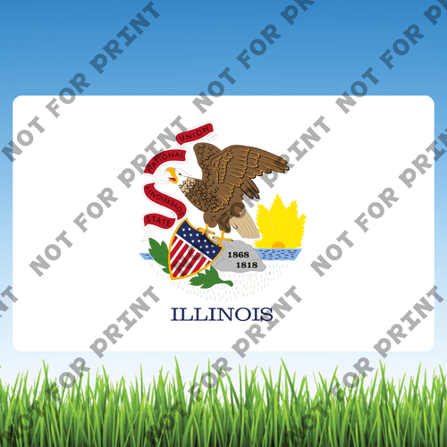 ACME Yard Cards Medium USA State Flags #012