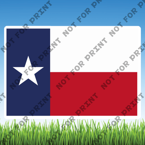 ACME Yard Cards Medium USA State Flags #042