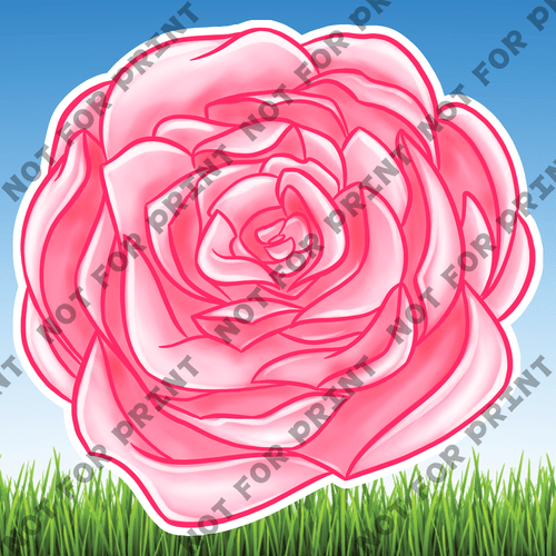 ACME Yard Cards Pink & Red Roses #021